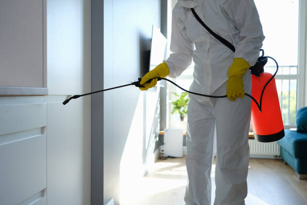 Best Mold Testing  in La Nte, MO