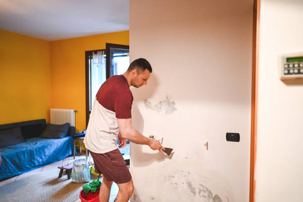 Best Mold Remediation Experts  in La Nte, MO