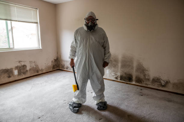Best Mold Damage Repair  in La Nte, MO